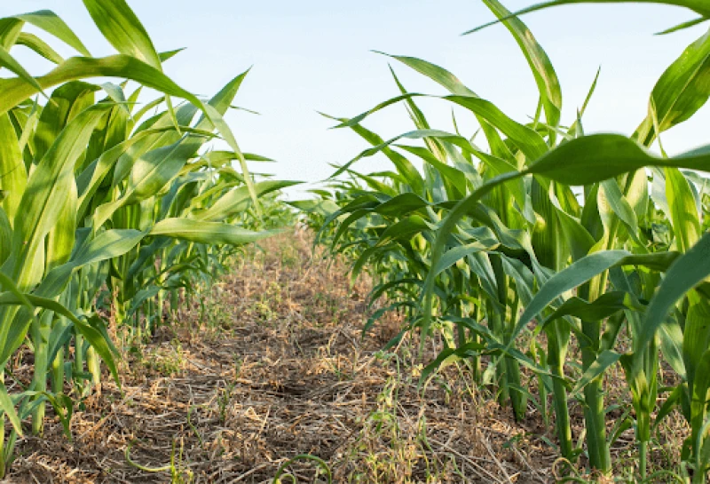 Credit: Getty for MIT Technology Review