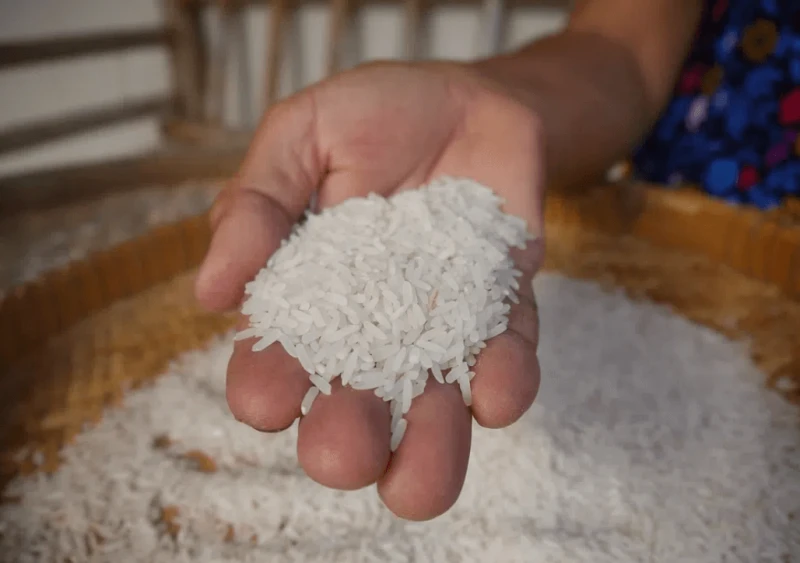 Credit: RawPixel via CC0-1.0