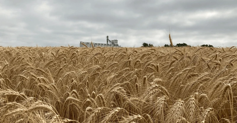 0124M2-2047A-1540×800-2 Credit: Farm Progress