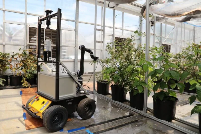 The 'Bramblebee' pollinator. Not exactly a swarm of grey-goo nano-drones. Credit: Gu et. al