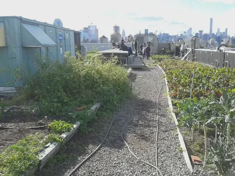 Small farm in Queens, NY. Credit: Pavla.havirova via CC-BY-SA-4.0