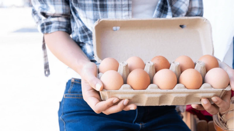 Credit: Egg Producers Federation of New Zealand