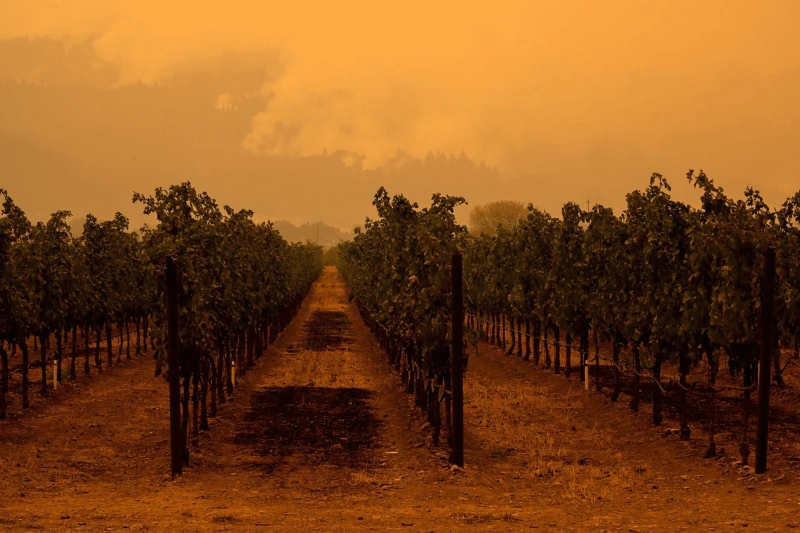 Glass_Fire_2020_credit_Alamy_1920x1280 Credit: Paul Kitagaki Jr./ZUMA Wire/Alamy Live News