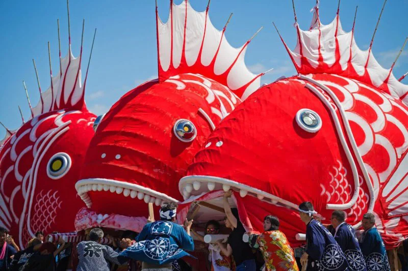 Sea bream festival in Minamichita, Japan. The CRISPR enhanced fish is 20-60% meatier. Credi: Takahiro Yoshida via SOPA Images