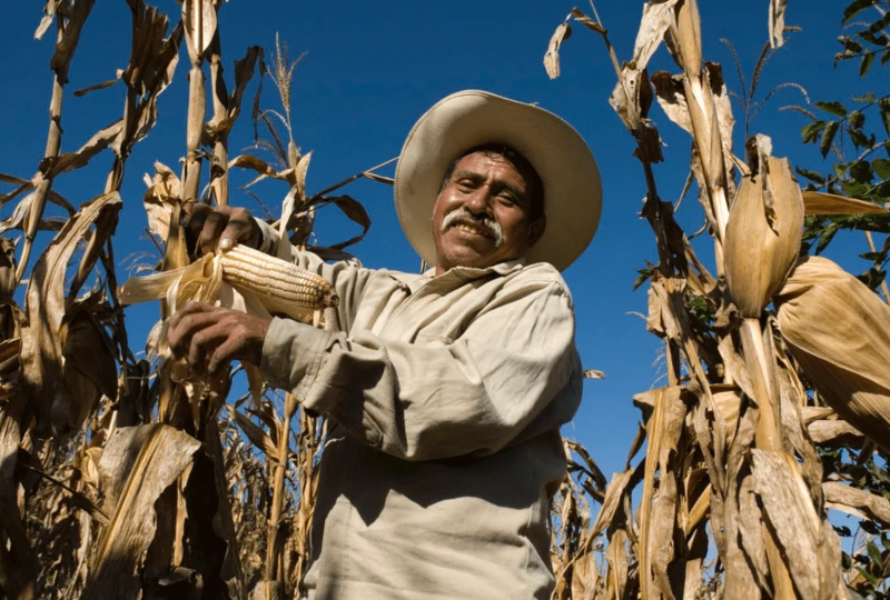 screenshot at pm screenshot at pm