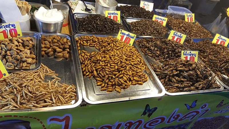 Credit: Jnpet via CC-BY-SA-4.0