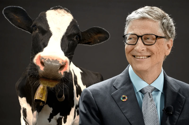 bill gate super cows feature