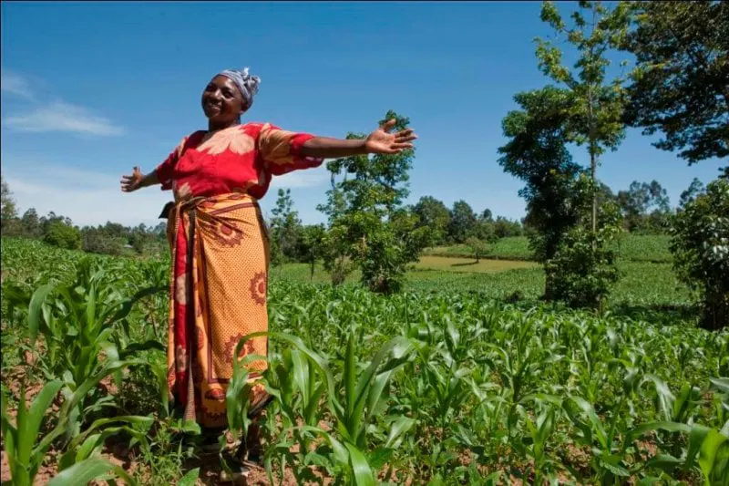 maize farmers dayjpg