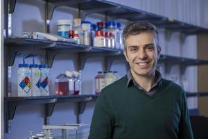 The Wistar Institute Identifies a Promising Target for Brain Cancer Treatment