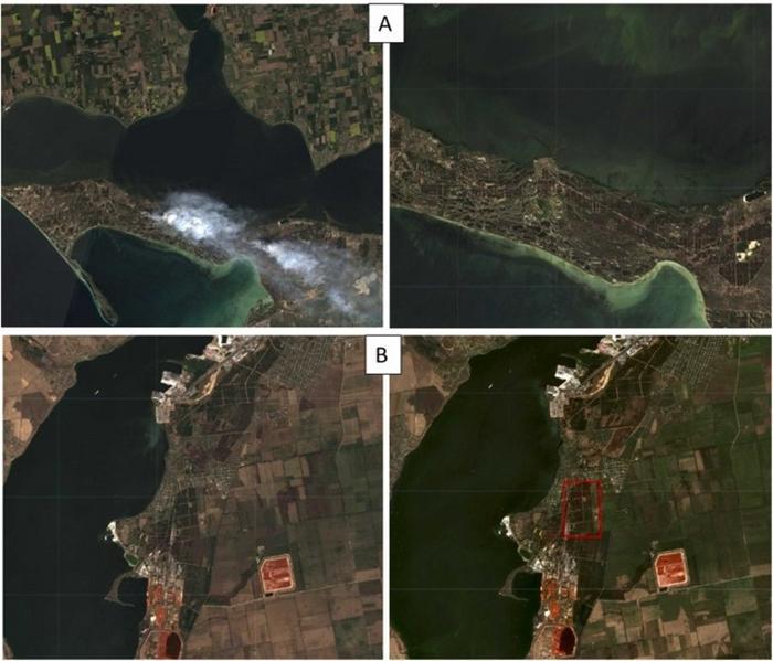 Evidence of forest loss in Ukraine