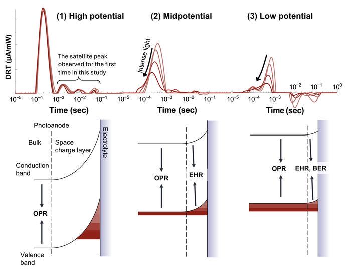 Recombination mechanisms in PEC water splitting at different potential regions
