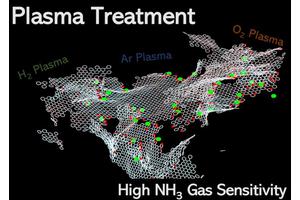 Enhancing Gas Sensor Performance Through Plasma-Modified Graphene