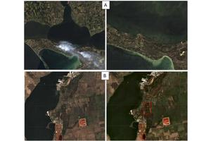 Ukrainian Conflict Results in Devastation of Nearly 1,600 Square Kilometers of Forest Area