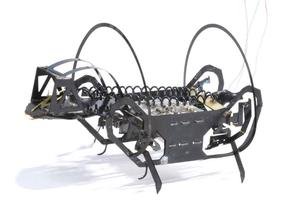 Introducing a Jumping Robot Inspired by Springtails: Revolutionizing Robotics