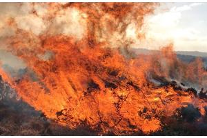 UK Peatland Fires Amplify Carbon Emissions Amid Rising Temperatures and Drought Conditions