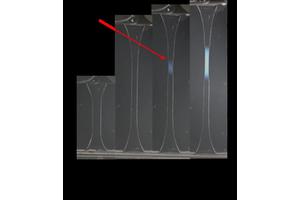 Revolutionary Double Network Hydrogel Polymers Exhibit Swift Self-Strengthening Properties