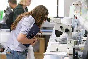 Regents Greenlight New Bachelor’s Program in Medical Pharmacology and Toxicology at the University of Arkansas