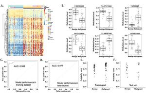 DNA Methylation: A Promising Biomarker for Early Lung Cancer Detection