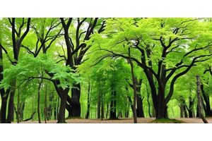 Enhanced Carbon Sequestration Linked to Greater Tree Diversity, New Study Reveals