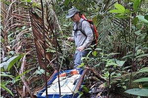 Unlocking Peatland Secrets: FAU Secures $1.3 Million to Monitor Carbon and Gas Dynamics