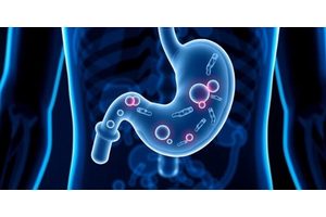 Bacterial Leakage from Stomach Lining May Signal Increased Risk of Gastric Cancer, According to New Study