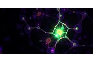 Breakthrough in Colorectal Cancer Therapy: Innovative CE6-GFFY Photosensitizer Demonstrates Potential in Tumor Combat