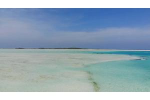 New USF Study Highlights Critical Need for Conservation of Coastal Marine Ecosystems