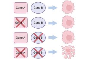 New Insights From Chinese Medical Journal Highlight the Anticancer Efficacy of Poly ADP-Ribose Polymerase Inhibitors