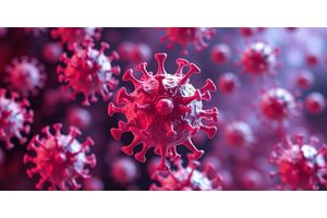 White Blood Cells Employ Forceful Tactics to Eliminate Bacteria