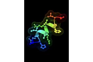 Naturally Occurring Molecule Competes with Ozempic for Weight Loss Benefits Without the Side Effects