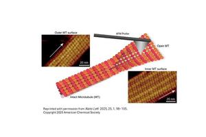 Kanazawa University Seeks Industry Partnerships for Innovative Bio-SPM Research