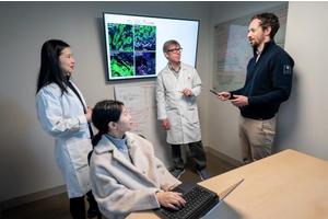 St. Jude Researchers Unravel Mechanism Behind Retinoic Acid’s Efficacy in Neuroblastoma Treatment