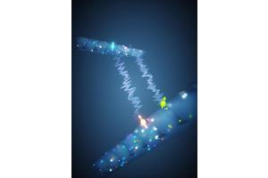 Unraveling Multiplexed Entanglement in Quantum Networks