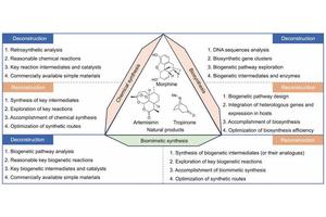 Advancements and Future Directions in Biomimetic Approaches to Natural Product Synthesis