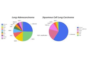 Enhancing Lung Cancer Therapy: Distinguishing Between LUAD and LUSC