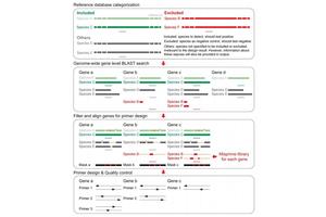 Scientists Unveil Cutting-Edge Tool for Swift Pathogen Detection