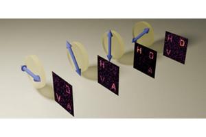 Twisted Holograms: Unraveling the Secrets of Light and Information Entanglement