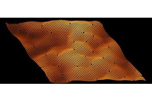 Disrupting the Surface: The Impact of Damage on Graphene’s Ripple Patterns