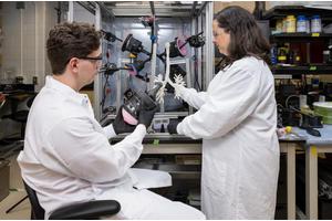 Cutting-Edge 3D Lung Model Sets New Standard for Research Advancements