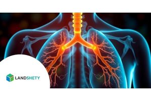 How Our Lungs Support Bone Marrow in Blood Production