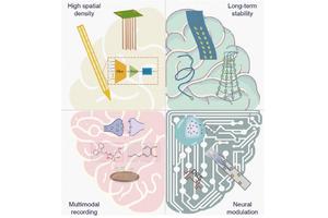 Advancements in Intracortical Neural Interfaces: Paving the Way for Free-Moving Animal Research