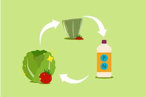 Revolutionizing Fertilization: Harnessing Waste-Derived Nutrients for Sustainable Liquid Fertilizers