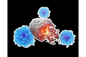 Revolutionary Cancer Vaccine Technique Enhances Efficacy and Broadens Treatment Potential