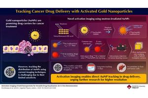 Illuminating Drug Dynamics: The Role of Activated Gold in Tracking Movement within the Body