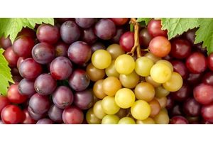 Recent Study Reveals Grape Consumption Enhances Muscle Health in Men and Women