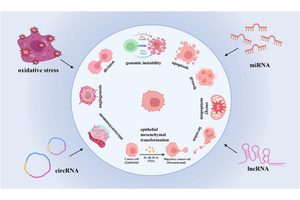 Exploring the Frontier of Cancer Treatment: The Impact of Non-Coding RNAs and Oxidative Stress