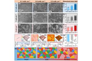 New Insights into Zinc Electrodissolution Behavior in Aqueous Zinc-Based Batteries