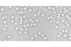 Revolutionary Advances in Next-Generation Polio Vaccines