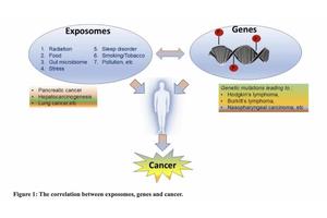Exploring the Link: How Environmental Exposures Influence Genetic Factors and Heighten Cancer Risk