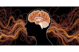 Mapping the Mind: New Research Reveals Neural Pathways that Transform Sound into Speech